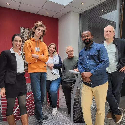 Ins IT | SKY CRM | company specialised in developing CRM/ERP solutions designed specifically for insurance intermediaries